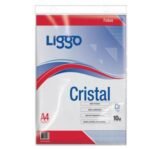 Folios Liggo A4 x 10 unid.